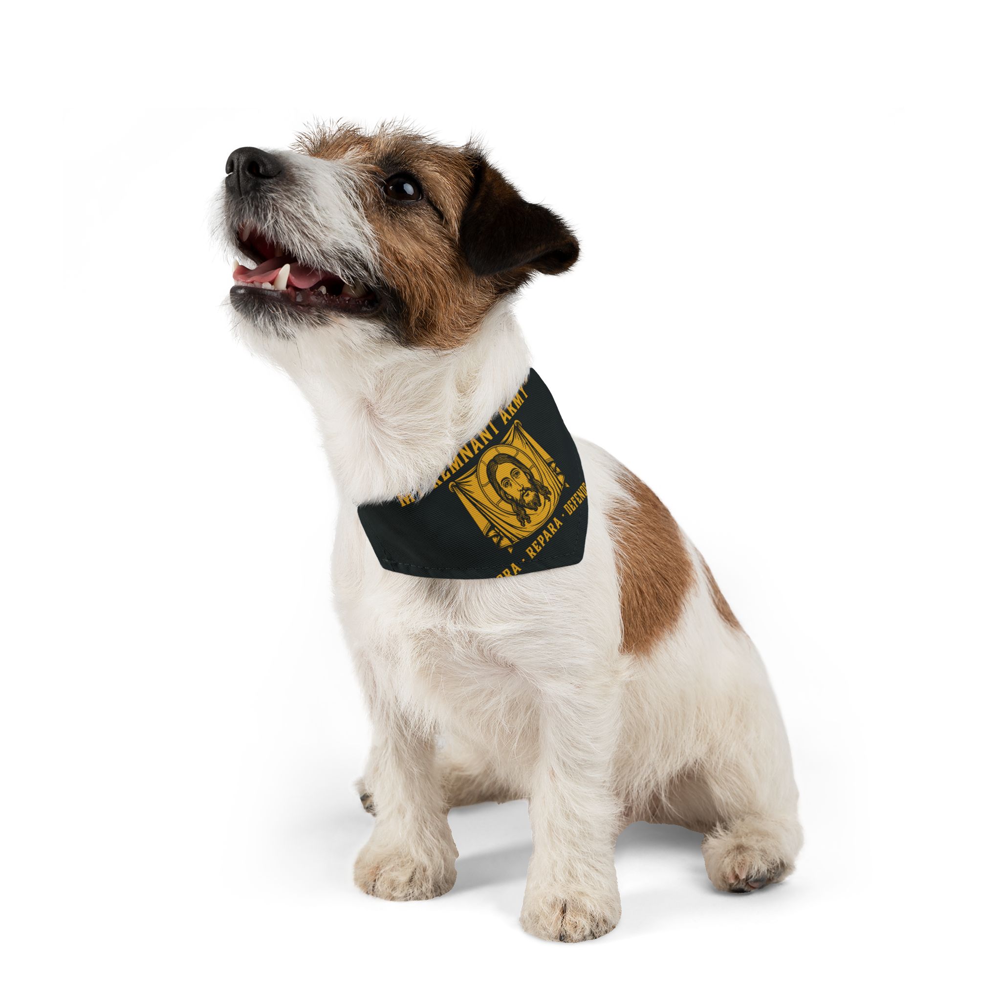 My Remnant Army Pet Bandana Collar — "Ora · Repara · Defende" Dog Collar Bandana - Image 10